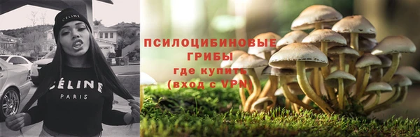 герыч Алексин
