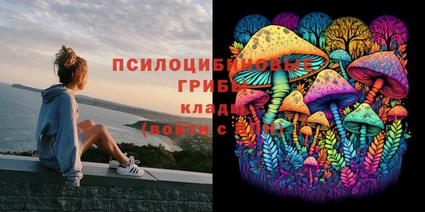 герыч Алексин